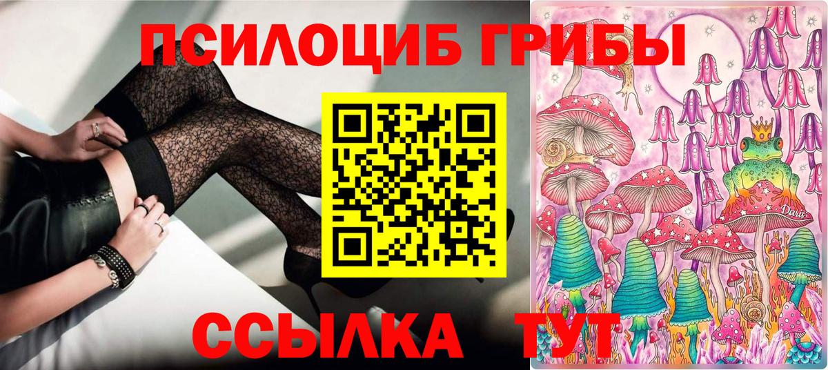 Бугуруслан  Галлюциногенные грибы GOLDEN TEACHER  Вход с VPN 