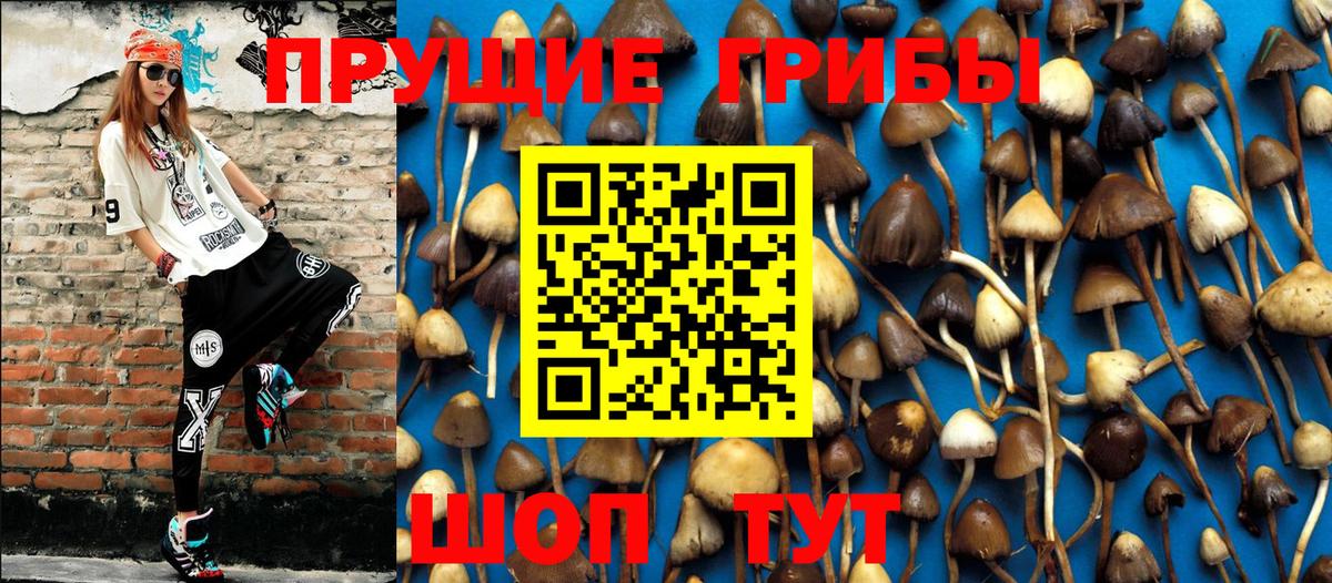 Псилоцибиновые грибы мухоморы Бугуруслан